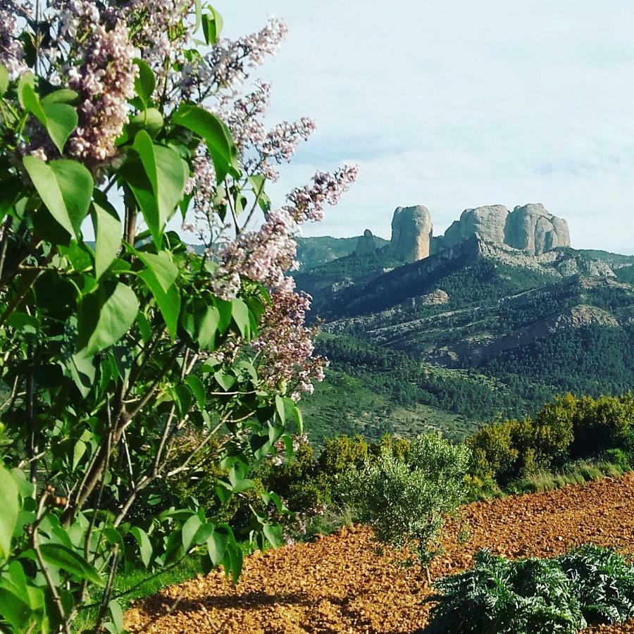 Casa Rural Santana Horta de Sant Joan Buitenkant foto
